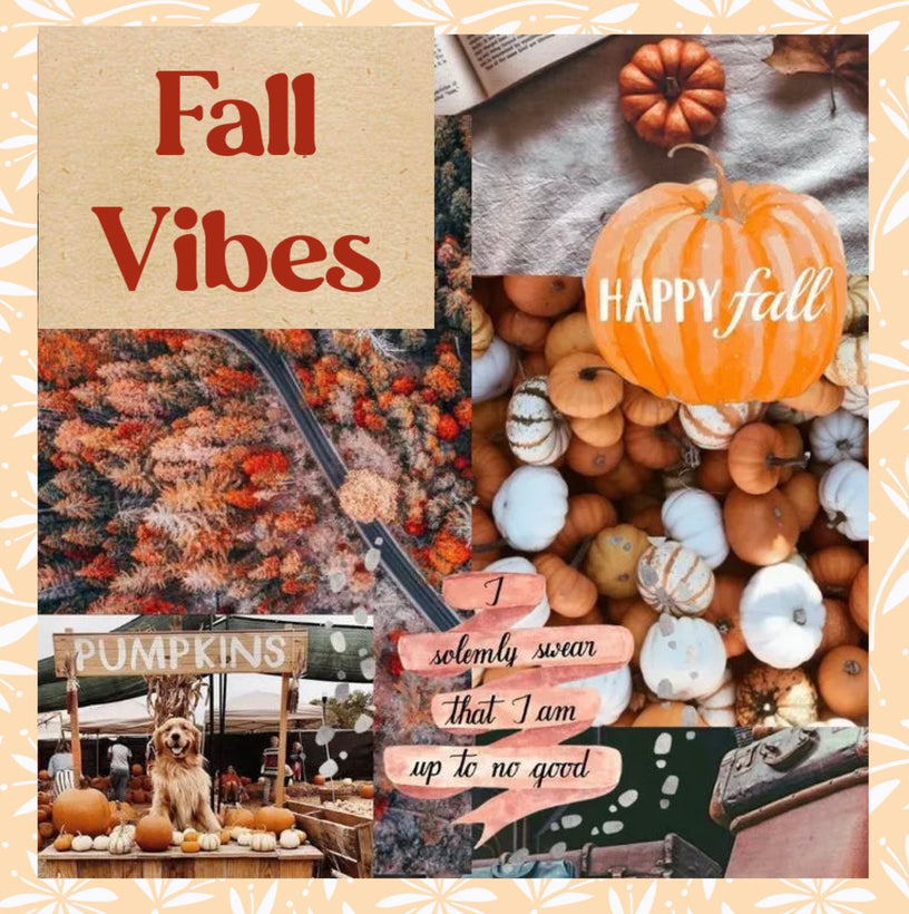 Fall Vibes