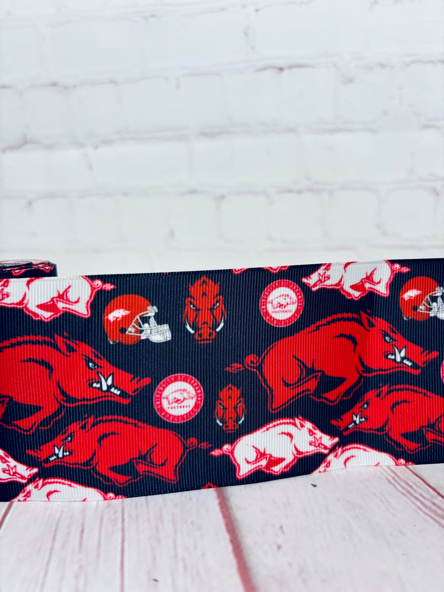 Arkansas Razorbacks