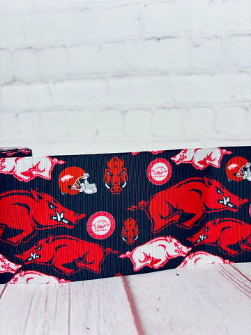 Arkansas Razorbacks