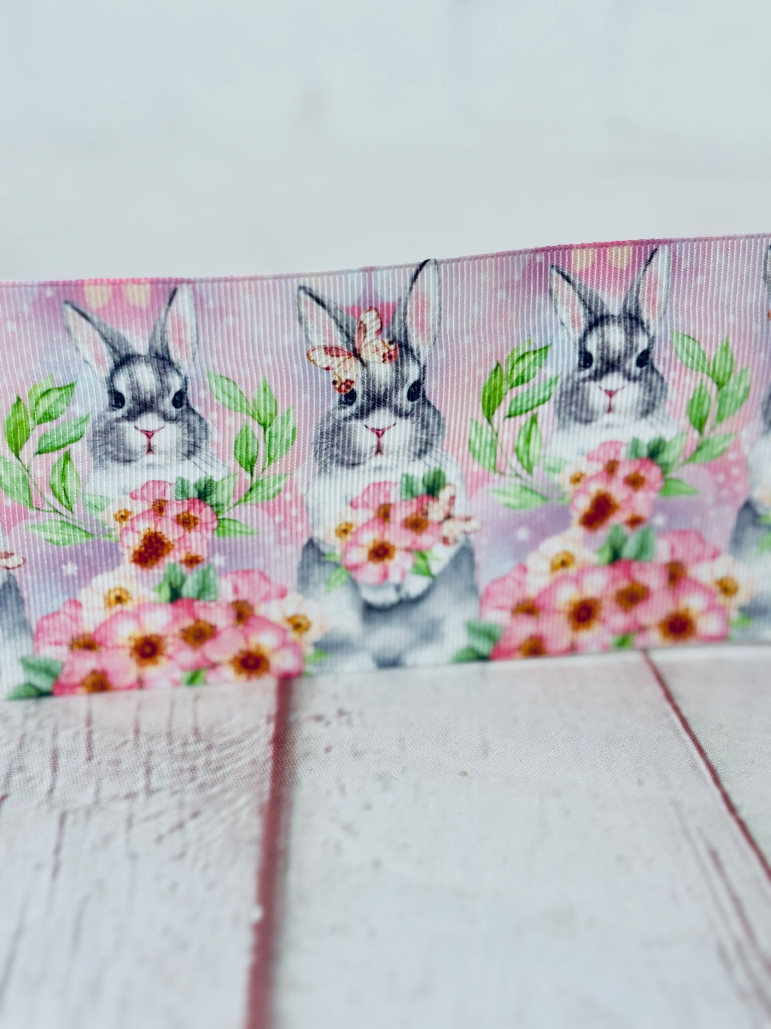 Bunny Rabbit