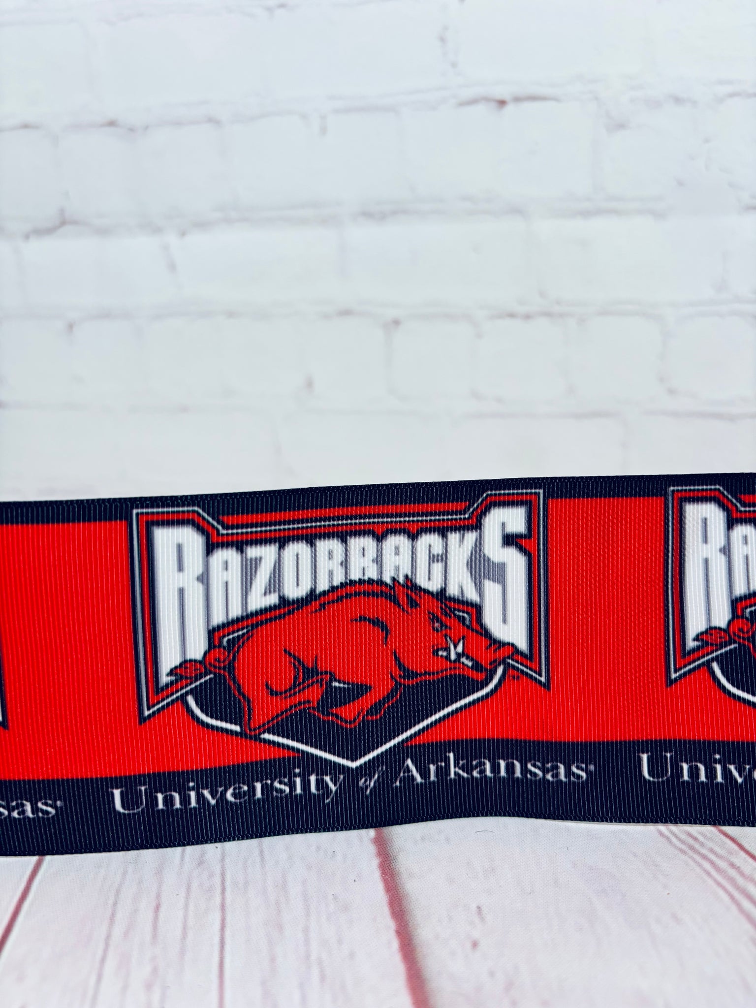 Arkansas Razorbacks